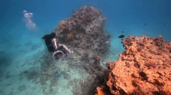 gifs_00.jpg