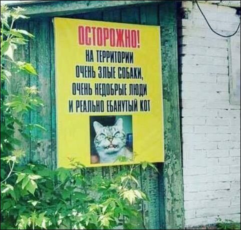 веселые надписи (1).jpg
