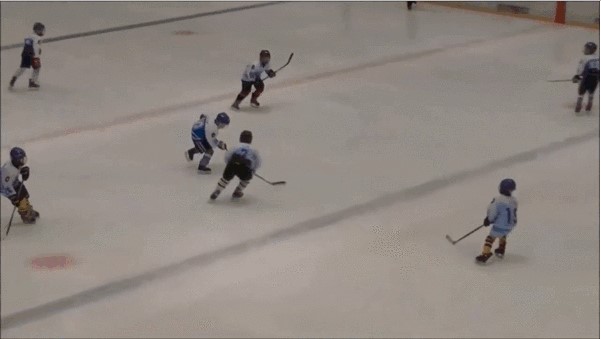 gifs_00.jpg