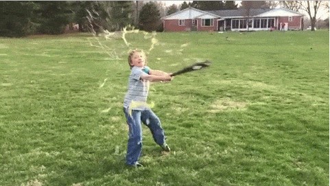 gifs_00.jpg