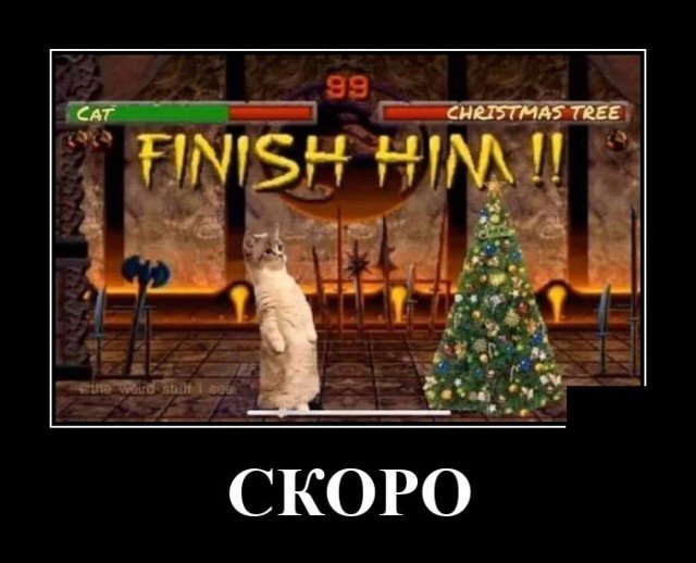 новый год